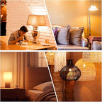 dalattin A19 Vintage LED Edison Bulbs, 60W Equivalent Light Bulbs, 2700K Soft White, Clear Glass Filament Bulb, Efficient 8W, E26 Base, 800 LM, CRI80+, Non-Dimmable for Home, Farmhouse, 24 Pack