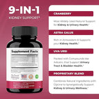 Sandhu's Kidney Cleanse Detox & Support Supplement for Men and Women | with Cranberry Extract | Helps Support Kidney & Urinary Tract Health | 60 Vegetarian Capsules (Pack of 3)
