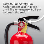 Kidde Pro 210 2A:10-B:C Fire Extinguisher, Rechargeable, Multi-Purpose for Home & Office, 4 lbs., Mounting Bracket Included , Red