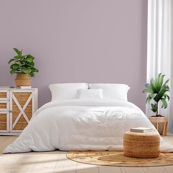 Rust-Oleum Color Spark Interior Paint and Primer in One, Eggshell, Smokey Amethyst, 1 Gallon