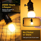 Frosted G16.5 Led Bulb, Matt Vanity Globe Light Bulbs, E26 Dimmable Globe Small Round Edison Light Bulbs, 6w 2700k Vintage LED Filament Edison Bulb