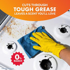 Lysol All Purpose Cleaner Spray, Multi-Purpose Disinfecting Spray, Kitchen & Bathroom Cleaner, Mango & Hibiscus Scent, 32 Fl Oz