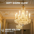 OHLECTRIC Night Light Bulbs (24 Pack – White), 7 Watt Mini Bulbs – E12 Candelabra Base, Non-Dimmable, 120 Volts – C7 Night Light Lamp Replacement Bulb for Salt Lamps, Window Candles, Holiday Decor