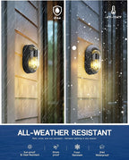 FEMILA 8.5" Oval Bulkhead Light, Modern Exterior Wall Sconce, 2 Pack Outdoor Wall Light & Ceiling Flush Mount, Ripple Glass, IP44 Waterproof, Front Porch Light for Patio/Garage/Entry, 4FYX104F-2 BK SW