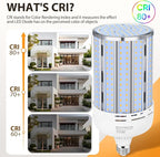 2 Pack 200W Corn LED Light Bulb Fanless,29,500LM 3000K/Warm White(2000 Watt Equivalent) E26/E39 Large Mogul Base LED Cob Lamp for Outdoor Indoor Garage Warehouse Factory Workshop Street Backyard