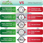 Why Not Natural Liquid Iron Supplement for Women, Men and Kids, Vegan Formulation for Anemia, Sugar Free, Vegan, Non-GMO, Gluten Free, Organic BlackBerry Flavor 16 Fl Oz