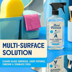 Aunt Fannie's Glass & Window Cleaning Vinegar Spray, Natural Streak-Free Spray, 16.9 Ounces (Pack of 1)