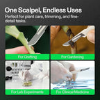 VIVOSUN #10 High-Carbon Steel Blades for Cutting Plants and Propagation