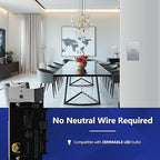 LIDER Dimmer Paddle Switch for Dimmable 300W LED/CFL Lights, 1-Pole or 3-Way, 120 V, Modern Upgrade, UL Listed, Screwless Wall Plate Included, Silver