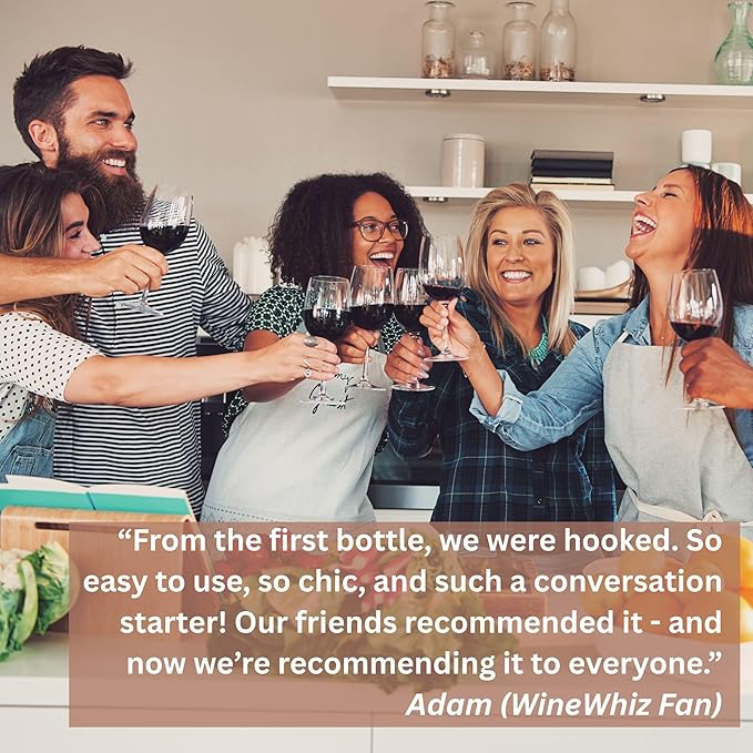 Electric Wine Aerator & Opener Set by WineWhiz with Case and Accessories (Rechargeable Stainless Steel Corkscrew, Dispenser, Foil Cutter Tool, Stopper), Ideal Gift for Housewarming