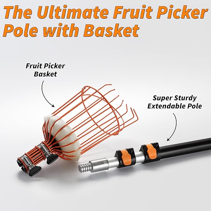 Fruit Picker Pole with Basket Telescoping 5-24 ft Apple Picker Extension Pole // Telescopic Fruit Tree Picker Tool for Picking Orange Mango Avocado Lemon Pear // The Ultimate High-Reach Fruit Grabber
