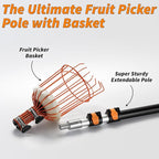 Fruit Picker Pole with Basket Telescoping 5-30 ft Apple Picker Extension Pole // Telescopic Fruit Tree Picker Tool for Picking Orange Mango Avocado Lemon Pear // The Ultimate High-Reach Fruit Grabber