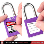 TRADESAFE Lockout Tagout Locks Set - 10 Purple Loto Locks, Lockout Locks Keyed Different, 2 Keys Per Lock, OSHA Compliant Lock Out Tag Out Padlocks, Safety Padlocks for Electrical Lockout Tag Out Kits