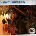 12 Pack - T6 Tubular Light Bulb - Clear 25 Watt - E12 Candelabra Base Dimmable - Warm White Light 180 Lumens E12 Candelabra Base