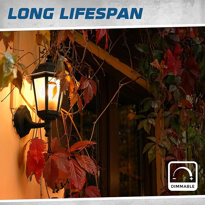 12 Pack - T6 Tubular Light Bulb - Clear 25 Watt - E12 Candelabra Base Dimmable - Warm White Light 180 Lumens E12 Candelabra Base