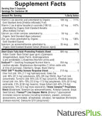 Natures Plus AgeLoss Digestion Support - 90 Capsules - Prebiotics, Live Enzymes & 150 mg L-Glutamine - Gluten Free - 30 Servings