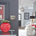 Legrand radiant TM870NICC10 15 Amp Rocker Wall Switch, Single Pole Decorator Light Switches, Nickel (1 Count)