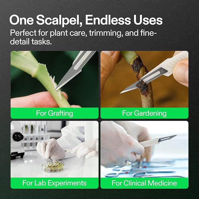 VIVOSUN #11 High-Carbon Steel Blades for Cutting Plants and Propagation