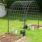 AAGUT 40" Rebar Stakes 20 pcs, Heavy Duty 1/2" Landscpe Timber Spikes Concrete Forming Stakes Straight Metal Garden Plant Stakes Anti Rust Black Coating