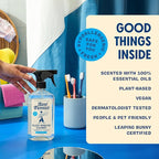 Aunt Fannie's Glass & Window Cleaning Vinegar Spray, Natural Streak-Free Spray, 16.9 Ounces (Pack of 6)