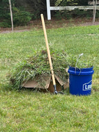 Edward Tools PullPro Long Handle Weed Puller Tool - 48" Classic Heavy Duty Hardwood Handle with 4 Claws Steel Head - Improved Stand Up Weed Remover Tool - Easy Stand Up Tool for Seniors