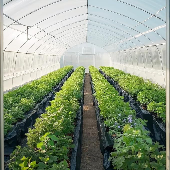 VEVOR 24' x 100' Plastic Sheeting Heavy Duty, 6 Mil Thick Plastic Sheeting Roll, Plastic Drop Cloth Painters Tarp, Polyethylene Covering for Crawl Space Vapor Barrier, Multi-Purpose, Black