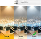 F32T8/865 Fluorescent Light Bulb, 48 Inch, 32 Watts, 6500K Daylight, 2800 Lumens, G13 Bi-Pin Base, 4FT T8 Fluorescent Tube Light Bulbs - 5 Pack