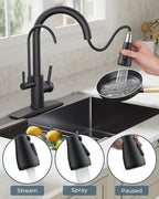 FORIOUS Black Kitchen Faucets with Water Filter, 2 in 1 Stainless Steel Pull Down Sink Faucet and Purfied Water Faucet High Arc Single Handle with Detachable Deck for 1 or 3 Hole