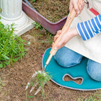 Berry&Bird Gardening Hand Fork, 22.6 Inches Long Handled Stainless Steel Weed Fork, Traditional Garden Hand Fork Tool with Ergonomic Ash Wood Handle for Weeding, Digging, Planting and Cultivating