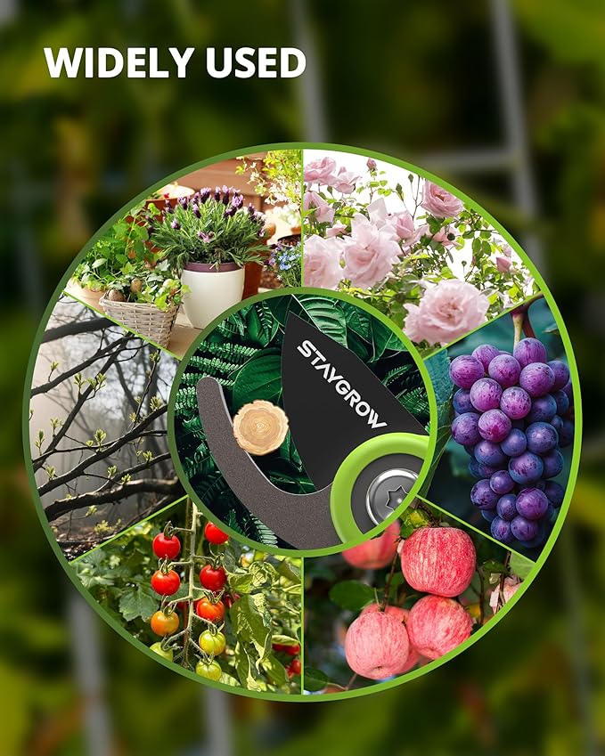 Garden Shears - 6.9" Pruning Shears for Gardening with SK5 Stainless Steel Sharp Blades, Tree Trimmer Garden Scissors with Comfort Handle and Safety Lock, Gardening Hand Tools - Green