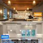 Vintage LED Edison Bulbs 60 Watt Equivalent Dimmable 7W ST58 LED Filament Light Bulbs Neutral White 4000K Antique Style Lighting High Brightness 800LM E26 Medium Base Clear Glass Home Office, 12 Pack