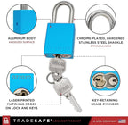 TRADESAFE Lockout Tagout Locks Set - 10 Blue Aluminum Loto Locks, Keyed Different Lock Out Tag Out Padlocks, 2 Keys Per Lockout Padlock, OSHA Compliant