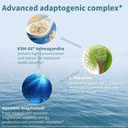 Advanced Ashwagandha KSM-66, L-Theanine & Magnesium, Ashwagandha For Men and Women, Multi Action Adaptogen Complex for Stress Support with Zinc & B Vitamins, Clean Label, 60 Vegan Capsules, by Igennus