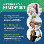 Probiotic & Prebiotic Capsules | Pre and Probiotics for Synbiotic Gut Health & Bloating Relief for Women & Men | Enzyme with Probiotics for Digestive Health | 20 Billion CFU | Vegetarian | 60 Ct.