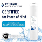 Pentair Pentek CBC-BB Big Blue Carbon Water Filter, Whole House Heavy Duty Carbon Block Replacement Cartridge with Bonded Powdered Activated Carbon (PAC) Filter, 10" x 4.5", 0.5 Micron, White