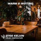 OHLECTRIC A19 LED Light Bulb (2-Pack) 8 Watt (60W Equivalent) E26 Medium Base, Dimmable, 800 Lumens, 2700K, Soft White, 120 Volt, Clear Light Bulbs, Long Life 15,000 Hours, Flicker-Free Bulbs LED