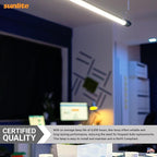 Sunlite 21-Inch F13T5/CW T5 Linear Fluorescent Lamp, 13 Watts, 850 Lumens, 4100K Cool White, Miniature G5 Bi-Pin Base, ROHS Compliant, High Performance Straight Tube, 10 Pack