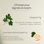 Murchison-Hume All-Purpose Cleaner – Natural, Non-Toxic, Safe on All Surfaces – Plant-Based Multi-Surface Spray for Kitchen, Bathroom & Home – Original Fig