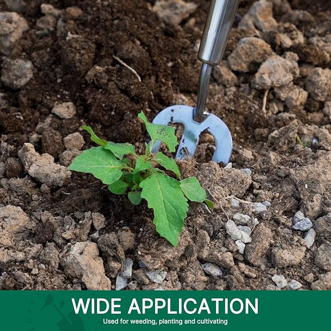 Berry&Bird Gardening Hand Fork, 22.6 Inches Long Handled Stainless Steel Weed Fork, Traditional Garden Hand Fork Tool with Ergonomic Ash Wood Handle for Weeding, Digging, Planting and Cultivating