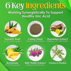 NutriGout Uric Acid Cleanse Supplement w/Turmeric, Celery Seed, Bromelain, Milk Thistle, Dandelion and Chanca Piedra, 60 Vegetarian Capsules of 500 mg Each