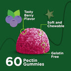 Zinc for Kids Gummies, 25mg - Immune Support for Kids & Teens - Powerful Natural Antioxidant, Kids Zinc Vitamin Supplement - Vegan, Gelatin Free, Gluten Free - Tasty Chewable Berry Flavor Gummy