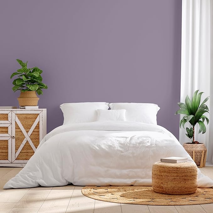 Rust-Oleum Color Spark Interior Paint and Primer in One, Eggshell, Feather Duster, 1 Gallon