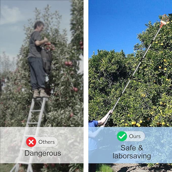 Walensee 8FT Fruit Picker, Adjustable Fruits Picker Tool with Lightweight Stainless Steel Pole and Big Basket, Fruit Catcher Equipment Tree Picker for Apples Mango Pear Orange Avocados Fruit Picking