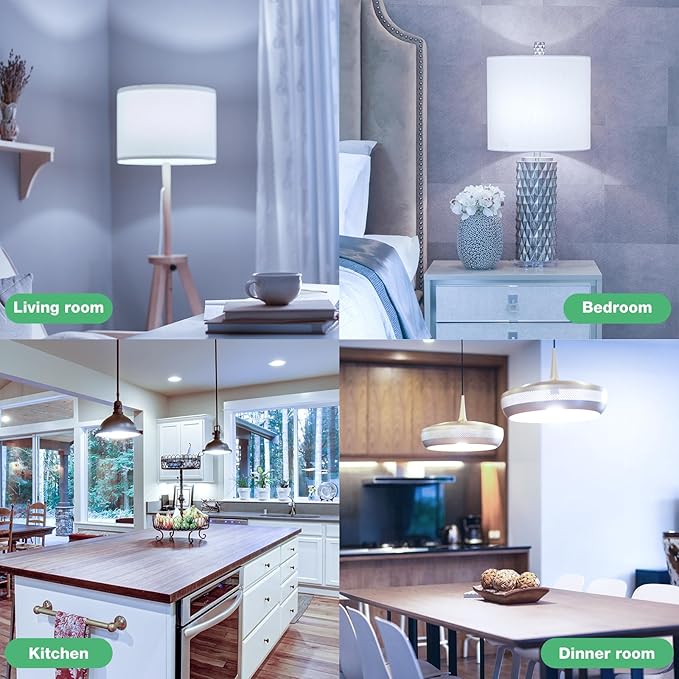 LED Light Bulbs, 100 Watt Equivalent LED Bulbs A19, 5000K Daylight Light Bulb, 1500 Lumens, E26 Standard Base, Non-Dimmable, 13W Bright White LED Bulbs for Bedroom Home Office, 12 Pack