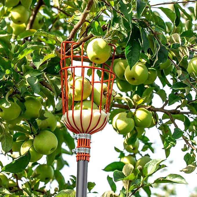 Walensee 8FT Fruit Picker, Adjustable Fruits Picker Tool with Lightweight Stainless Steel Pole and Big Basket, Fruit Catcher Equipment Tree Picker for Apples Mango Pear Orange Avocados Fruit Picking