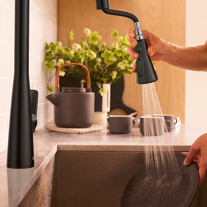 American Standard 1048812430 Aspirations Single-Hole Kitchen Sink Faucet with Pull-Down Sprayer, 1.8 GPM, Matte Black