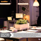 Sunlite 12-Inch F8T5/WW T5 Linear Fluorescent Lamp, 8 Watts, 380 Lumens, 2700K Soft White, Miniature G5 Bi-Pin Base, ROHS Compliant, High Performance Straight Tube, 10 Pack