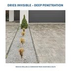 Rain Guard Water Sealers SP-1007 Salt Guard Ready to Use - Protects from Road Salt, Freeze Thaw, and Ice Damage - Covers up to 700 Sq. Ft., 5 Gal, Invisible Clear