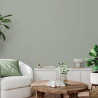 Rust-Oleum Color Spark Interior Paint and Primer in One, Matte, Thyme Flies, 1 Gallon