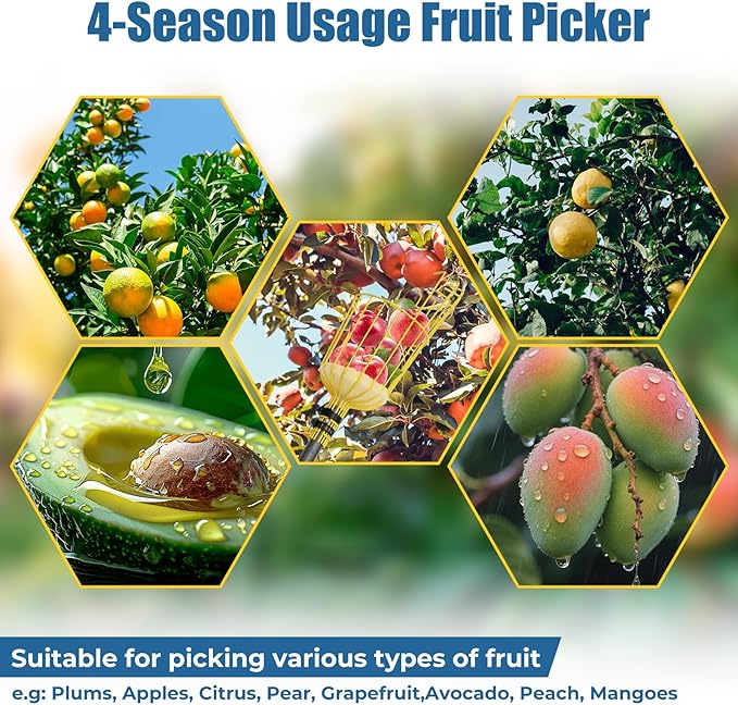 Fruit Picker Pole Tool – Ladder-Free Harvesting Aid, Safe for Elderly and Children, Durable Stainless Steel Design – Adjustable Long Pole Picker for Apples, Avocados, Oranges, Grapefruit, Plums, Pear